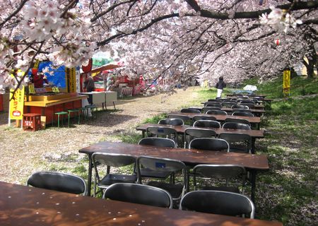 北越谷 桜 2013.04-6
