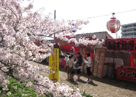 北越谷 桜 2013.04-7