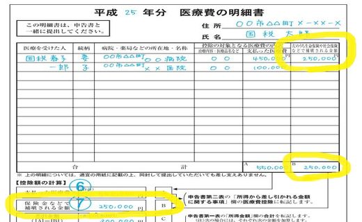 医療費の明細書(記入例)補てん金