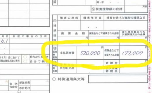 確定申告書A(第二表)医療費控除
