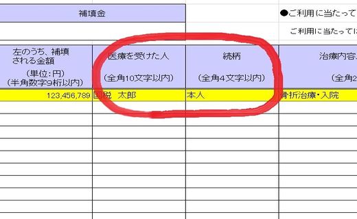 医療費集計フォームの入力方法-2 /></center></p>
<p>【04】医療を受けた人…医療を受けた人の氏名を入力します。医療費は、申告者本人のほかに家族(生計を一にする親族)の医療費も対象になりますが、共働き夫婦の場合は、所得額の多い側が医療費控除を受けたほうが控除による節税効果が高くなります。</p>
<p>【05】続柄…申告者本人と、医療を受けた人との続柄(ぞくから)を書きます。本人の場合は「本人」、家族の場合は、「母」「父」「妻」「夫」「長男」「次男」「長女」「次女」「祖母」「祖父」「兄」「弟」「姉」「妹」など。</p>
<p><center><img src=
