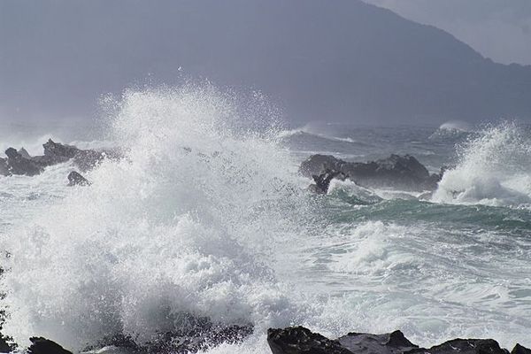 台風