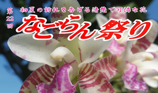 なごらん祭り