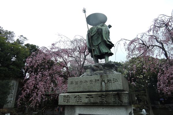 西新井大師 桜 04