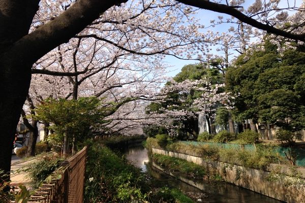 舎人緑道公園 02