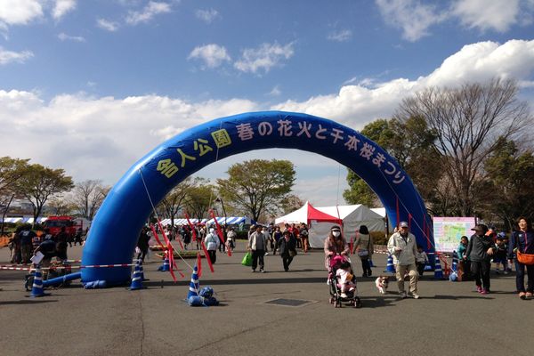 舎人公園の桜 04