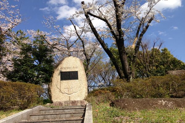 舎人公園の桜 06