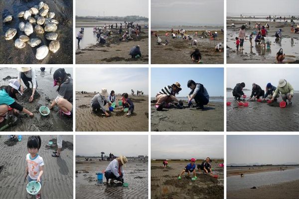 和間海浜公園 潮干狩り 15 潮干狩り 15