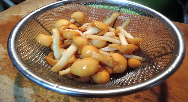 なめこ